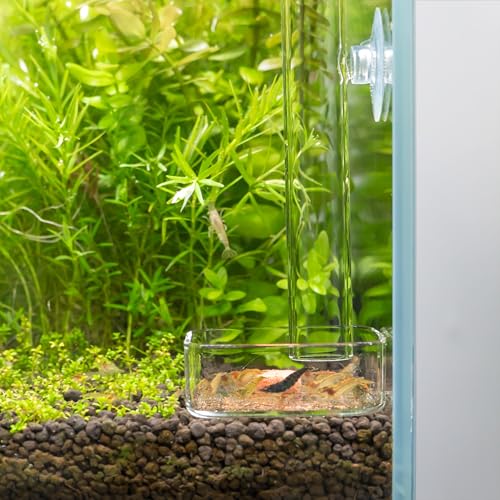 LINLAN 11.81 Inch Glass Shrimp Feeder, Aquarium Feeding Tube and Square Bowl with Two Suction Cups to Prevent Food from Spreading, for Crystal Shrimp and Cherry Shrimp - size: 30CM