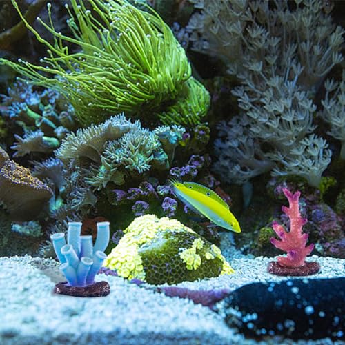 6 Pieces Artificial Coral Plant for Fish Tank Decorative Micro Landscape Decor Aquarium Reef Ornament for Aquarium Tank Decorations Miniature Moss Landscape DIY (6PCS) - color: 6pcs