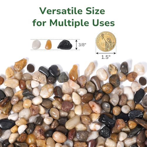 GreatBuddy 10-lb Pebbles for Indoor Plants, 3/8" Pea Gravel for Vases, Small Rocks for Succulents, Fish Tanks, Aquariums, Terrarium, Drainage Pebbles for Potted Plants, River Rocks for Landscaping - color: Natural-10lb, size: Medium-3/8 Inch