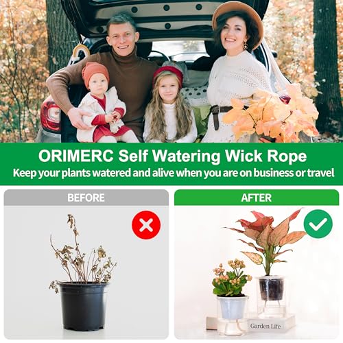 ORIMERC 4 inch 15 Pack Net Cups Pots, with 15 feet Self Watering Rope, 15 Plant Labels, for Hydroponics Aquaponics Kratky Orchid Vegetable Indoor Outdoor Growing Baskets Nursery Slotted Mesh BPA Free - size: 4 inch (15 Pack)