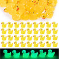 100 Pieces Mini Resin Luminous Ducks Yellow Tiny Duckies for Miniature Dollhouse Decor Accessories Garden Aquarium Miniature Characters Fairy Garden Potted DIY Ornament Party - style: The Yellow Duck 100PC