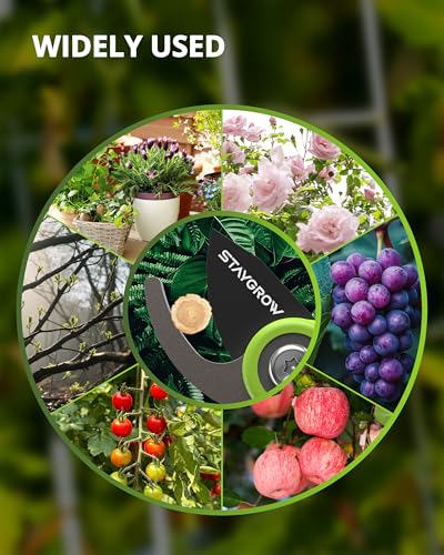 Garden Shears - 6.9" Pruning Shears for Gardening with SK5 Stainless Steel Sharp Blades, Tree Trimmer Garden Scissors with Comfort Handle and Safety Lock, Gardening Hand Tools - Green - style: 6.9" Bypass Green