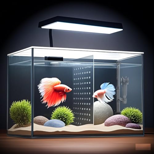 3 Gallon 12.6” L Fish Nano Glass Aquarium, with Separator Plate for Betta, Multi-Functional Square Fish Tank with Filter, LED Light, Black 4mm Glass - color: Black transparent