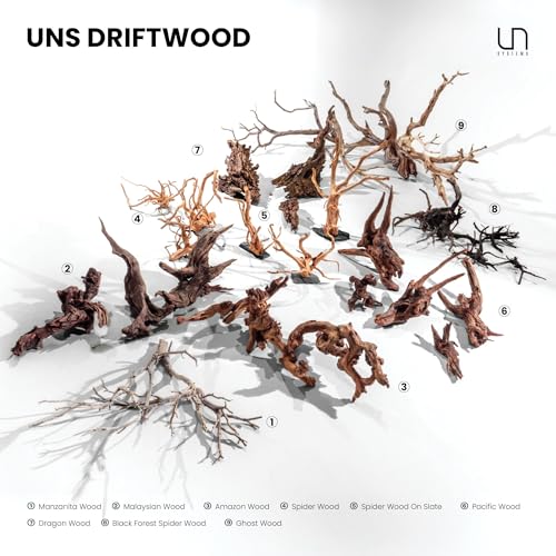 Ultum Nature Systems Driftwood - Spider Wood on Slate Stone for Fish Tank, Planted Tank, Terriarium, Paludarium - Versatile Natural Driftwood Decor - Spider Wood on Slate Stone, S 7-12", 3 Pack - size: 7-12" 3-Pack