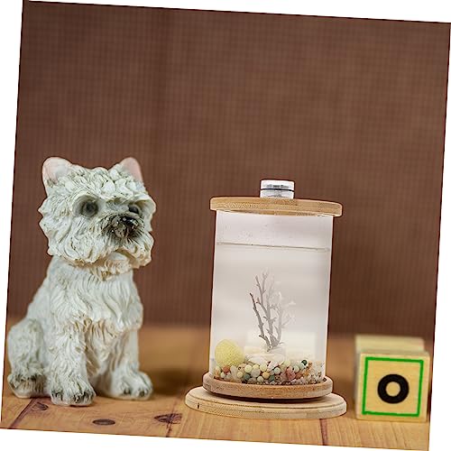Garneck 1 Set Rotating Fish Bowl Unique Desktop Aquarium Tank with Phyllostachys Pubescens Frame for Home and Office Decor for Gardens and Craft Displays