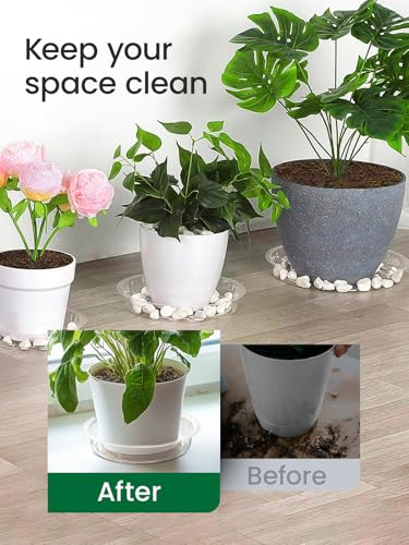 GROWNEER 24 Pack of 6, 8, 10, 12 Inches Clear Plant Saucers Flower Pot Trays, with 15 Pcs Plant Labels, Plastic Plant Drip Trays for Indoor Outdoor Plants Garden, Assorted 4 Sizes, 6pcs of Each Size - size: 6,8,10,12 Inch, 24-Pack