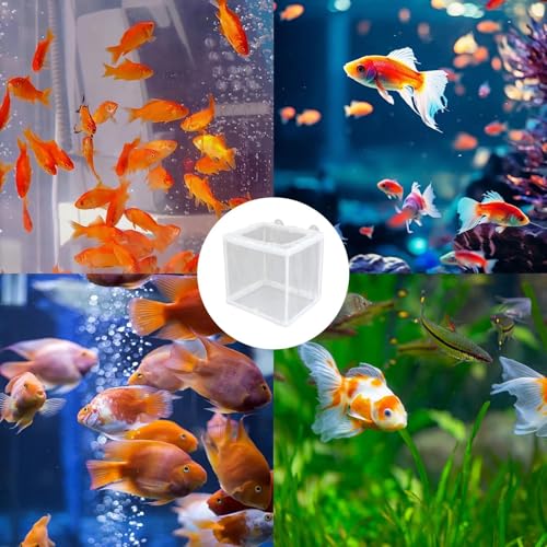 Breeding Isolation Box – White Nylon Net Chamber, Fry Hatchery with Suction Cups, Compact Tank Divider | Practical Setup for Aquatic Offering Safe Separation Protection Inside Aquarium Spaces - size: Small