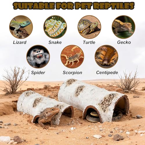 Natural Reptile Hide Basking Platform, Hideout Decor for Aquarium, Fish Tank, Bearded Dragon, Gecko, Shrimp, Betta (Glow-in-the-Dark Birch Tree Hiding Cave, Small)