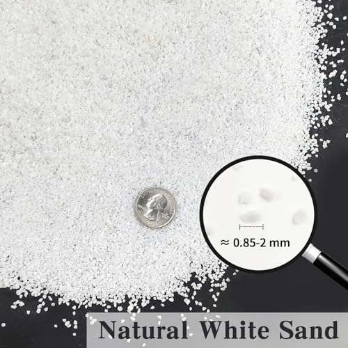 FANTIAN 5 lbs Aquarium White Sand, 0.8-2 mm Mini Aquarium Gravel. Coarse Sand for Fish Tank, Paintings, Succulent Plants Potted, Fire Pits, Candle, Vase Filler and Crafts - color: White, size: 5 LB