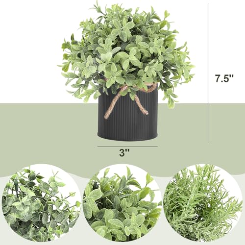 Mkono 3 Pack Small Fake Plants in Black Galvanized Metal Pots Artificial Eucalyptus Plants for Christmas Decorations Shelf Desk Home Farmhouse Room Coffee Table Bathroom Decor - color: Black, size: 3 inch