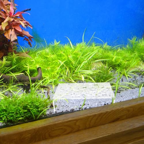 NUOBESTY Aquarium Shrimp Hideout Shelter Multiple Holes Plastic Fish Tank Decoration Breeding Cave for Shrimp and Small Fish Habitat
