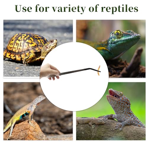 Reptile Stainless Steel Lizard Aquarium Straight Feeding Tweezers with Rubber Tip, Terrarium Feeding Tongs, 14.96" L, Black Silver Tone
