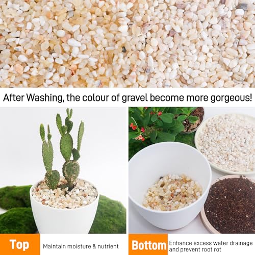 CJGQ 7lb Aquarium Gravel for Plants,1/5 Inch Natural Decorative River Rocks for Succulent and Cactus Landscaping, Natural Small Rocks for Fish Tanks, Vases & Terrariums - color: Mixed Beige, size: 7lb