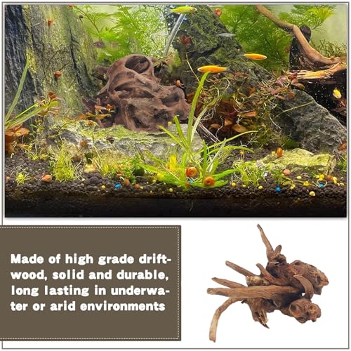 PINVNBY Natural Driftwood for Aquarium Fish Tank Decorations Assorted Branches Bearded Dragon Tank Accessories Terrarium Decor (6.5-12 inches/4 Pack) - size: M:Mopani Driftwood (6.5 - 12 inches/4 Pack)