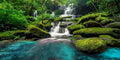 36X18 Inch Tropical Waterfall Vivarium Backdrop - Rainforest Mountain Lake & Lush Tree Reptile Tank Background - Durable Polyester Habitat Decoration - size: 36X18in