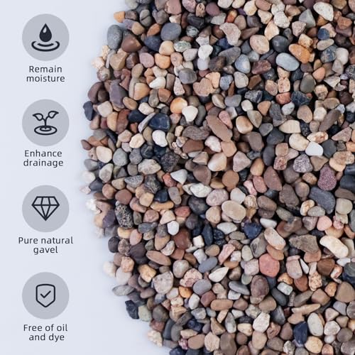 5lb Mixed Color Silica Gravel Pebbles, 1/5 inch Decorative Stones for Succulents, Pebbles for Vases,Plants Rocks, Aquarium Sand, Top Dressing, Outdoor Decorative Rocks - color: Natural Colorful, size: 5LB