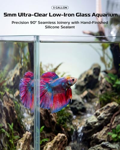 Glass Fish Tank Kit, 3 Gallon Betta Fish Tank Aquarium Starter Kit with Filter, Lights, Lid, for Betta, Goldfish, Small Fish or shrimg，Clear - color: Transparent, size: 3 Gallon