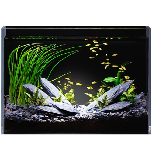 5 Gallon Glass Fish Tank Ultra Clear Rimless Aquarium, Built-in Black Background Rectangular Tank - size: 5 gallon tank only
