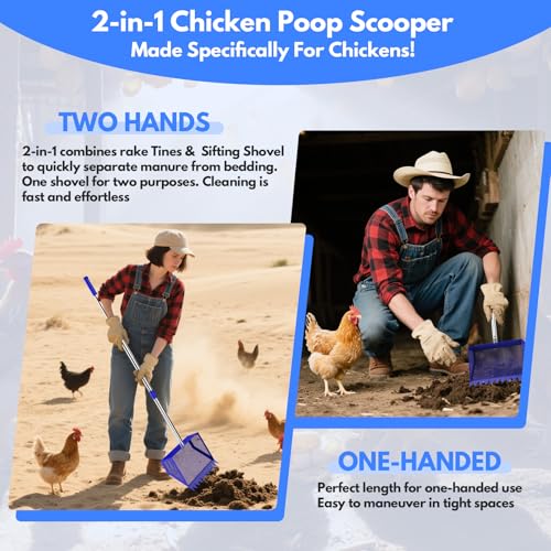 Chicken Poop Scooper Rake 2-in-1,304 Stainless Steel Shovel Head, Chicken Litter Scoop with Handle for Chicken Coop for Sand, Pet Waste Cleaning, Litter Sifting Shovel (35 to 65") (Blue, 10inch) - color: Blue, size: 10inch