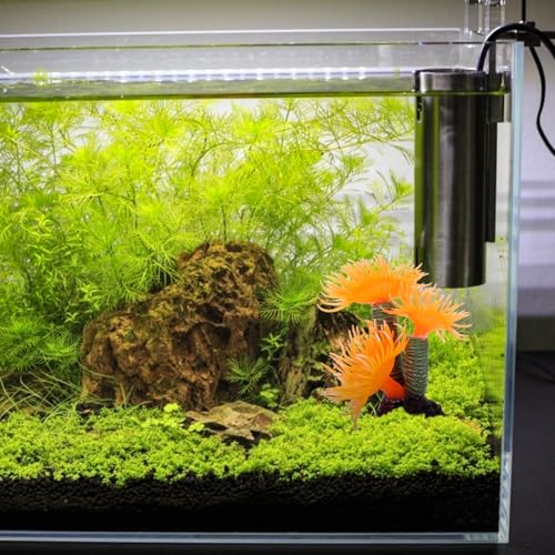 Balacoo Artificial Aquarium Coral Ornament: Resin Coral Reef Decor for Aquarium Landscape, Betta Fish Tank Plants Decor (Orange, 3.1 Inch)