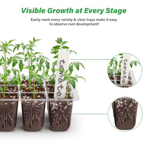 Bonviee 5-Pack Seed Starter Tray Seedling Kits,Plant Starter Kit with Adjustable Humidity Dome and Base Indoor Greenhouse Mini Propagator for Seeds Growing Starting (12 Cells per Tray,Black) - color: Black, size: 5 Packs, NO light