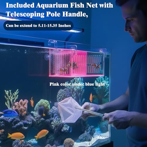 Acrylic Breeder Box for Fish Tank, Aquarium Isolation & Breeding Box with Extendable Long Handle Net for Baby Fish, Shrimp, Betta, Guppy - Acclimation Hatchery Incubator (Orange, 7.4x5.3x6.3 in) - color: Orange, size: 7.4x5.3x6.3in