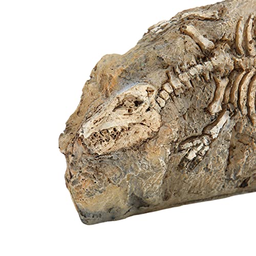 GLOGLOW Aquarium Dinosaur Decoration Resin Ornament for Fish Tank, Prehistoric Statue Hideaway Cave Decor for Betta Cichlid Shrimp, 6.5 Inch