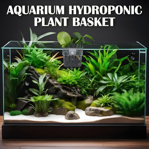 12 Pack Top Hanging Fish Tank Plant Pot Clear Aquarium Plant Holder with Hook Aquatic Plant Cup Holder Aquarium Aquatic P-lant Pot Water Landscape Decoration for P-lant Water Feature Decoration