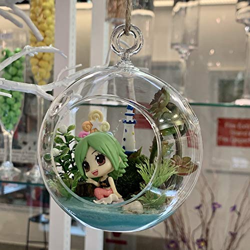 WGV Hanging Terrarium Globe, Width 7", Height 8", DIY Air Succulent Planter, Clear Glass Vase Orb with Flat Bottom, Candle Holder Outdoor Garden Decor, 6 Pieces - size: 7" Flat Bottom