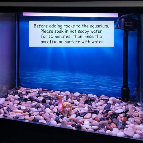 FANTIAN 40 lbs Large River Rocks for Outdoor Landscaping, 2-3 Inch Natural Decorative Pebbles for Potted Plants Aquarium Fountain Garden Rocks and Yard Paving Stones - size: 2-3 Inch, style: 40 Pounds