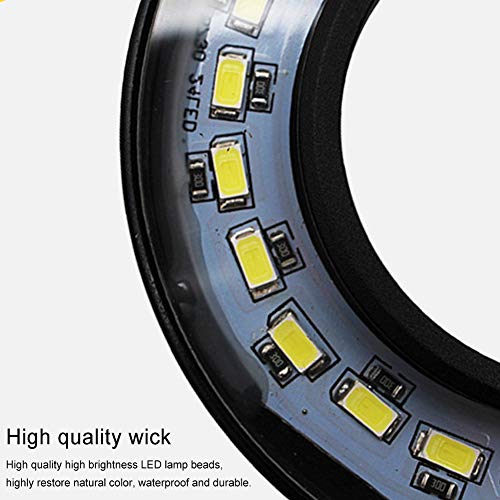 LED Aquarium Light 360 Degree Full Spectrum LED Light with Bamboo Board 10W Nano Fish Tank Light USB Powered Flat Nano Aquarium Light Bett a Fish Tank Light for Plant Growth - size: 10w s / 6.69x7.28inch