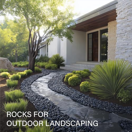 NUPICK 45lb Black River Rocks for Outdoor Landscaping, 1-2 Inch Pebbles for Indoor Plants, Natural Polished Aquarium Gravel, Decorative Rocks for Succulent, Garden, Vases Fillers, Bird Baths - color: Black, size: 1-2"-45lb