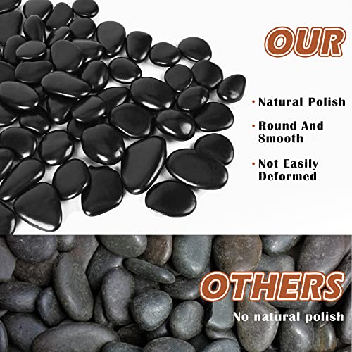 Black Pebbles for Indoor Plants 2.5 LB Small River Rocks 1"-1.5" Polished Decorative Stones Smooth Aquarium Gravel for Fish Tank Vases Planters Outdoor Landscaping Garden (40oz) - size: 2.5 LB (40oz), style: Black