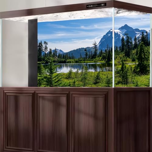 Majestic Picture Lake Aquarium Background Lush Alpine Meadows Evergreen Forests Fish Tank Background Scenic Mountain Tranquil Lake Terrarium Backgrounds Green Meadow Reptile Tank Backgrounds 24x12in - color: Green_Blue, size: 24(W)x12(H)in
