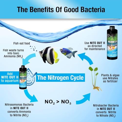 MICROBE-LIFT Nite-Out II Aquarium Bacteria for Start-up, Instantly Cycle Aquariums, Add Fish on Day 1, Rapid Ammonia and Nitrite Reducer for Freshwater & Saltwater Fish Tank, 1 Gallon 2-Pack - size: 1 Gallon (2 Pack)