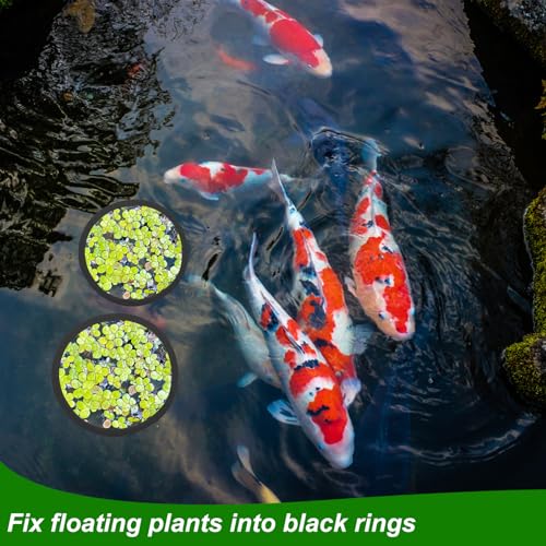 PEUTIER 5pcs Aquarium Floating Plant Rings, Foam Floating Plant Corral Fish Feeding Rings Fish Tank Food Ring for Keeping Floating Plants in Place (Black)