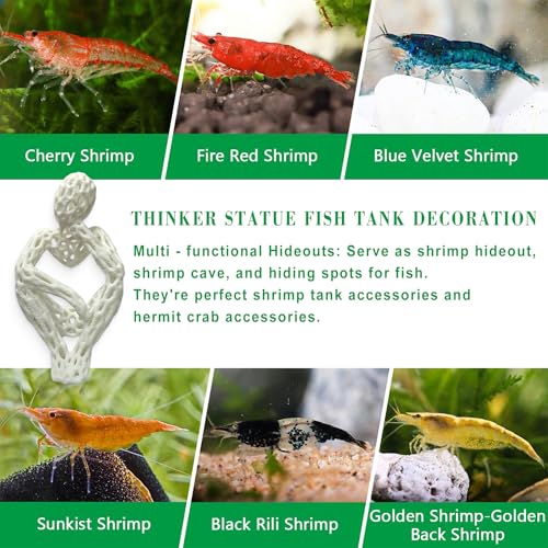 LIYAOLI Shrimp Hide Cave for Aquarium Sculpture Decor- Modern Shrimp Hiding Spots for Tank,3D Printed White Fish Tank Accessories Decorations, Safe Shelter for Shrimps/Betta/Turtles (White) - color: White