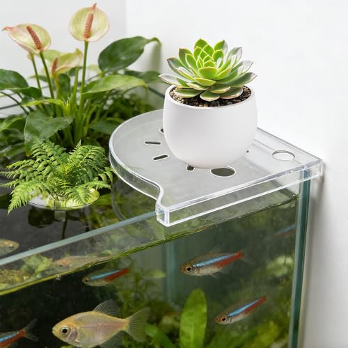 12PCS Creative Floating Floral Arrangement Holder,Floating Flower Display Stand Include 2 Fish Tank Shelf DIY Clear Acrylic Flower Bowl Stem Holder for Small Single Flower Water Plants/Fish Tank Float