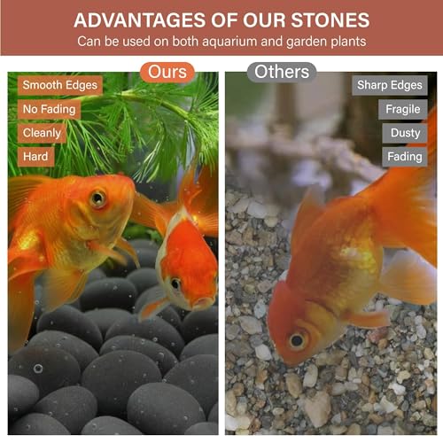 NUPICK 30lb Mexican Beach Pebbles, 2-3" Black River Rocks for Landscaping, Smooth Garden Rocks for Outdoor Paving, Natural Black Pebbles for Plants, Decorative Stones for Planters, Fish Tank, Fountain - color: Gray, size: 2-3", 30lb