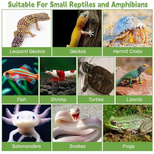 PINVNBY Reptile Hide Resin Turtles Dock for Aquarium (Size: 7.1 x 4.7 x 2.7 inches), Turtle Basking Platform for Small Size Snake Crested Gecko Lizard Frogs Newts