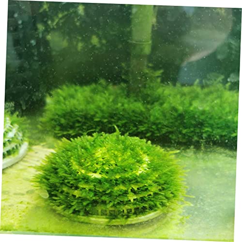 KESYOO 2pcs Moss Breeding Box for Aquatic Plants Fish Tank Decorations Aquarium Landscape Plant Holders