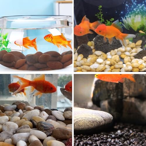 YISZM Rocks for Plant 5lbs, Red River Rocks 1-2 Inch Natural Pebbles for Indoor Plants, High Polished Decorative Stones Vase Filler Fish Tank Aquariums Landscaping Garden - color: Red, size: 5 Pounds