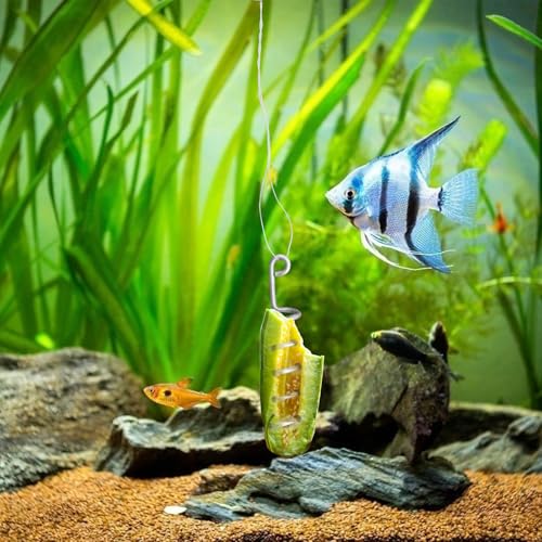 Fish Tank Aquarium Vegetarian Feeder with Suction Cup | Stainless Steel Sinking/Hanging/Benthic Fish Feeder for Loach, Malawi Cichlid, Snail - with Recycling Line