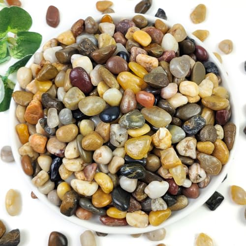 YISZM 5LB Succulent and Cactus Gravel Pebbles, 3/8 Inch Decorative Polished Stones, River Rocks for Plants, Vases, Aquariums, Terrarium and Outdoor Gardening, Natural - color: Natural, size: 5 Pounds