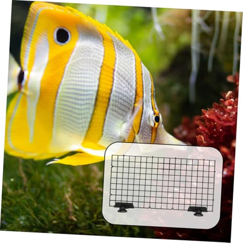 Happyyami 1set Aquarium Bottom Divider Plate Fish Tank Separator Tray Strong Bearing Capacity Isolation Board for Water Cycle