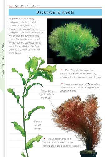 Aquarium Plants (CompanionHouse Books) Essential Guide to Choosing, Planting, Feeding, Propagating, and Growing Fish Tank Plants with Expert Advice on Water Quality, Lighting, Substrates, and More