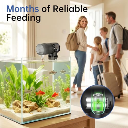AQQA Automatic Fish Feeder for Aquarium, 200ML Large Capacity Fish Food Dispenser with Programmable LCD Timer, Moisture-Proof Silent Auto Feeder for Vacation, Betta Turtle Koi Goldfish Small Tank
