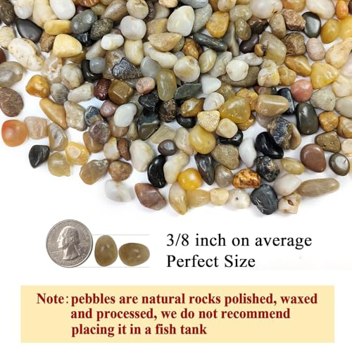 FANTIAN 2 Pounds Pebbles for Plants, 3/8 Inch Polished Pea Gravel. Decorative Stones River Rocks for Succulent Soil Cover, Cactus, Aquarium, Vase and Outdoor Garden Landscaping - size: 2 pounds, style: Natural