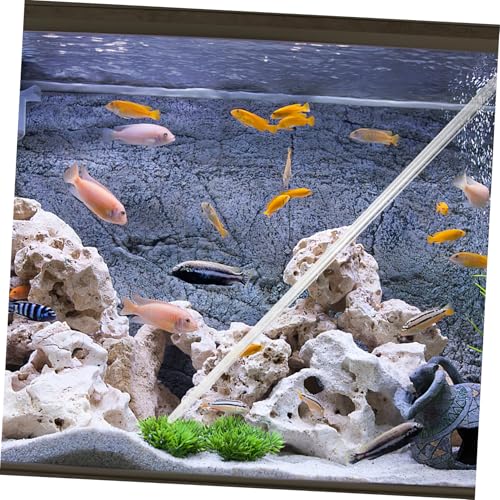 Toddmomy Coral Feeder Tool Long Tubes for Accurate Feeding of Acrylic Aquarium Feeding Pipette for Various Coral Species Efficient Filtration Design