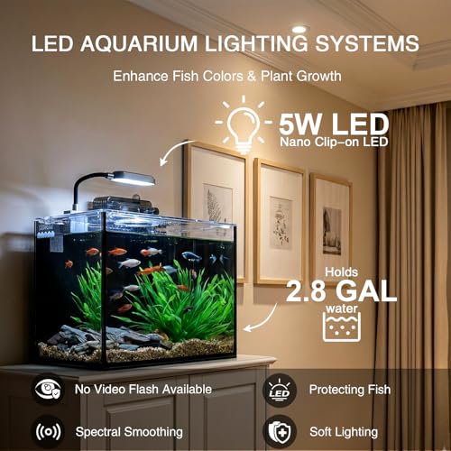 2.5 Gallon Betta Fish Tank, Small Aquarium Kit,Glass Small Fish Tank,Betta Fish Tank with a lid and Light and Filter, Small Transparent Glass Fish Tank with Light and Filter (Black Glass Background) - size: 2.5 Gallon